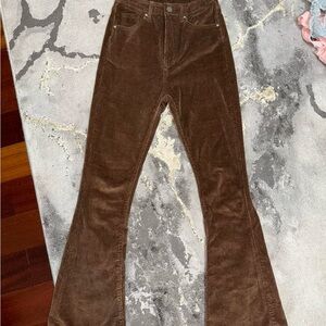 Trendy Brown Flared Women's pants